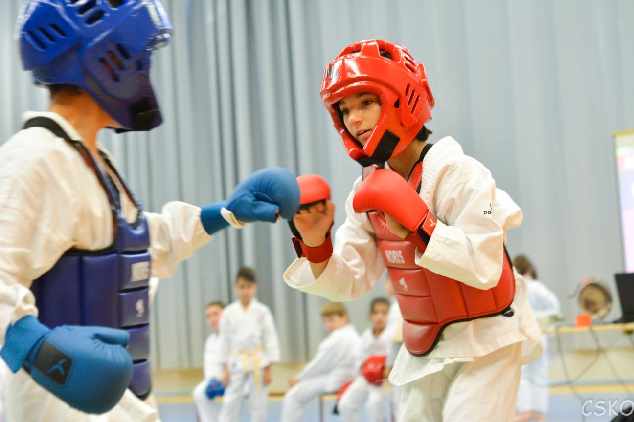 samourai_2013-398.jpg