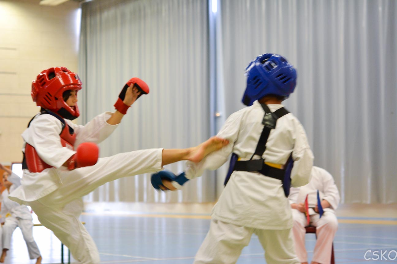 samourai_2013-399.jpg