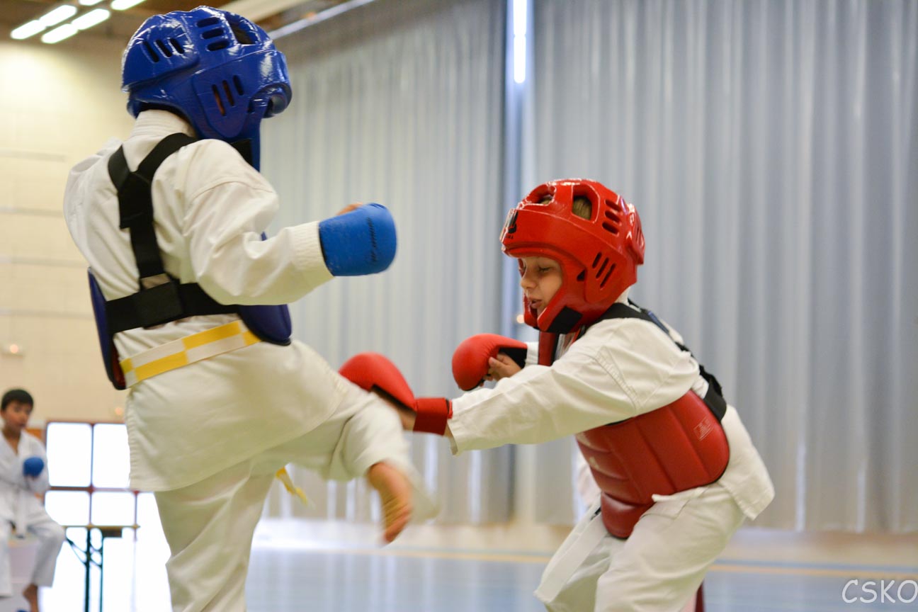 samourai_2013-407.jpg