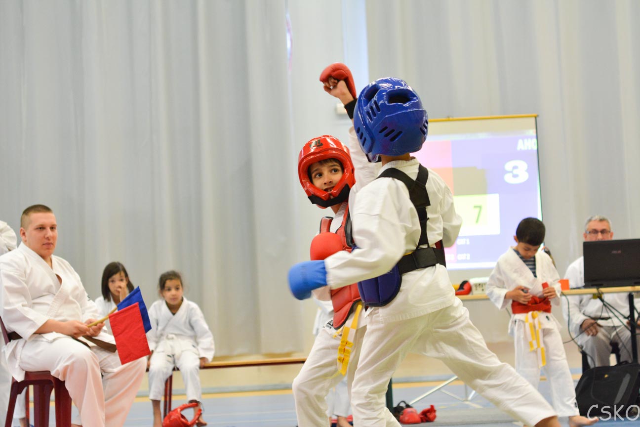 samourai_2013-429.jpg