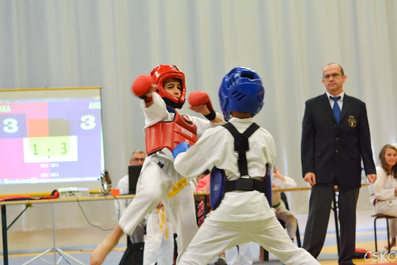 samourai_2013-430.jpg