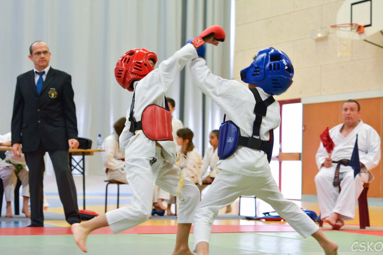 samourai_2013-433.jpg
