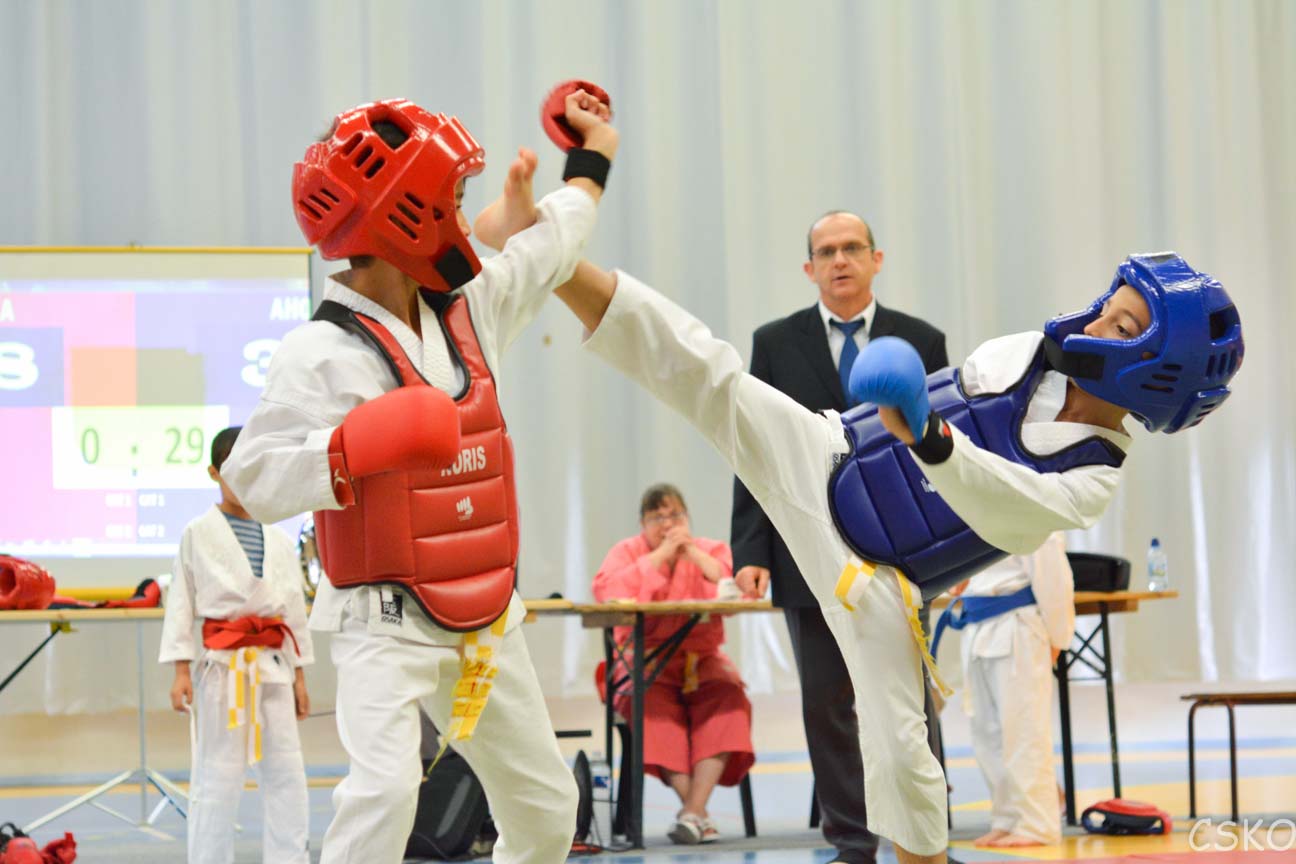samourai_2013-437.jpg