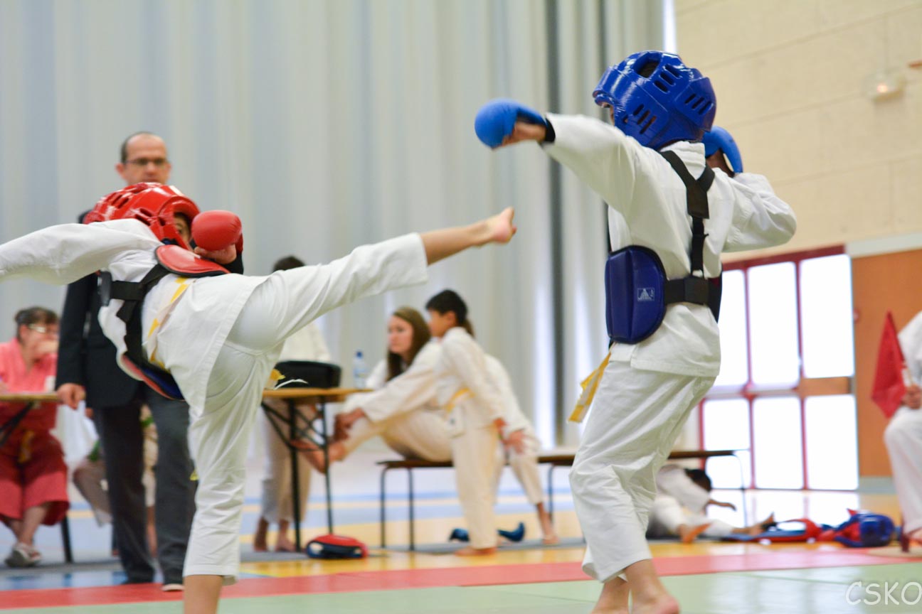 samourai_2013-440.jpg