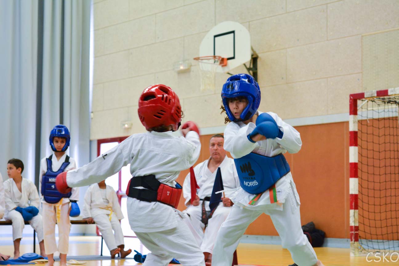 samourai_2013-473.jpg