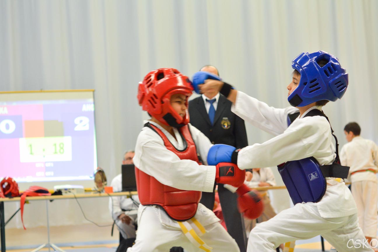samourai_2013-477.jpg