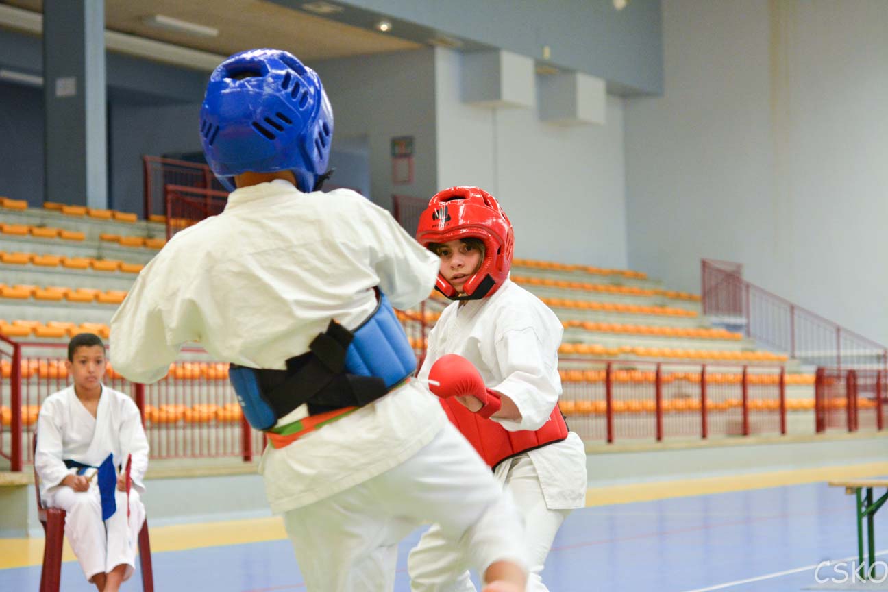 samourai_2013-496.jpg
