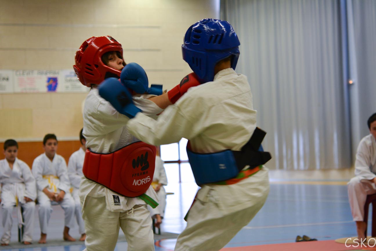 samourai_2013-500.jpg