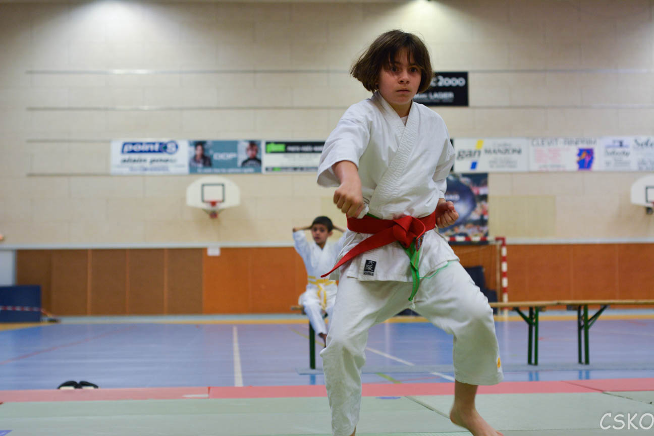 samourai_2013-97.jpg