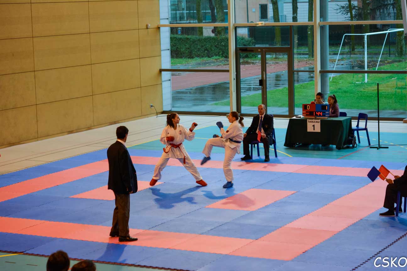 Coupe_kumite-1.jpg