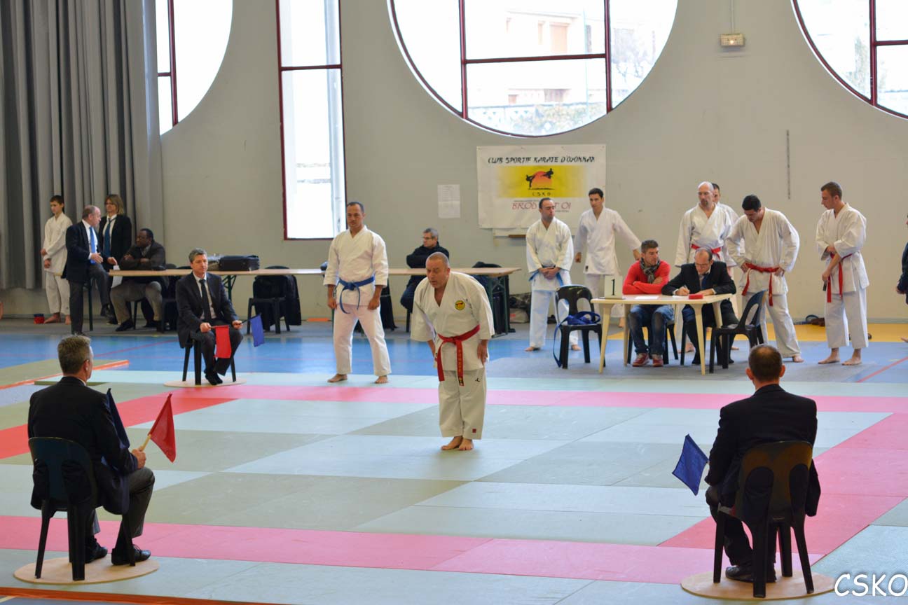 CSKO_Kata_Ain_2013-11.jpg
