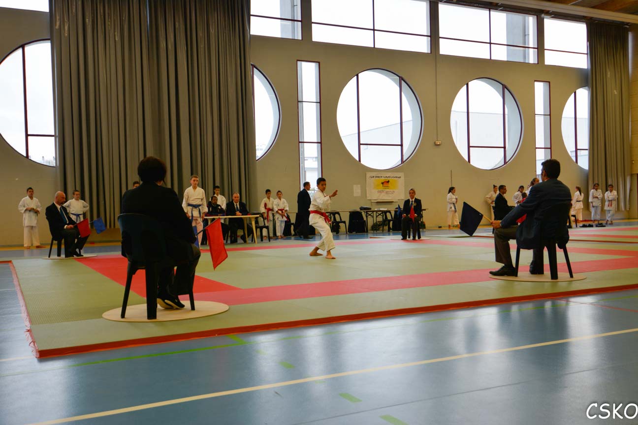 CSKO_Kata_Ain_2013-2.jpg