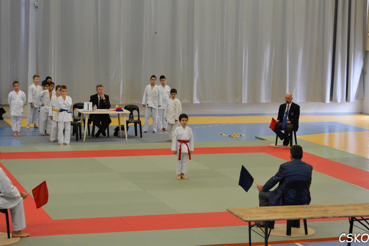 CSKO_Kata_Ain_2013-44.jpg