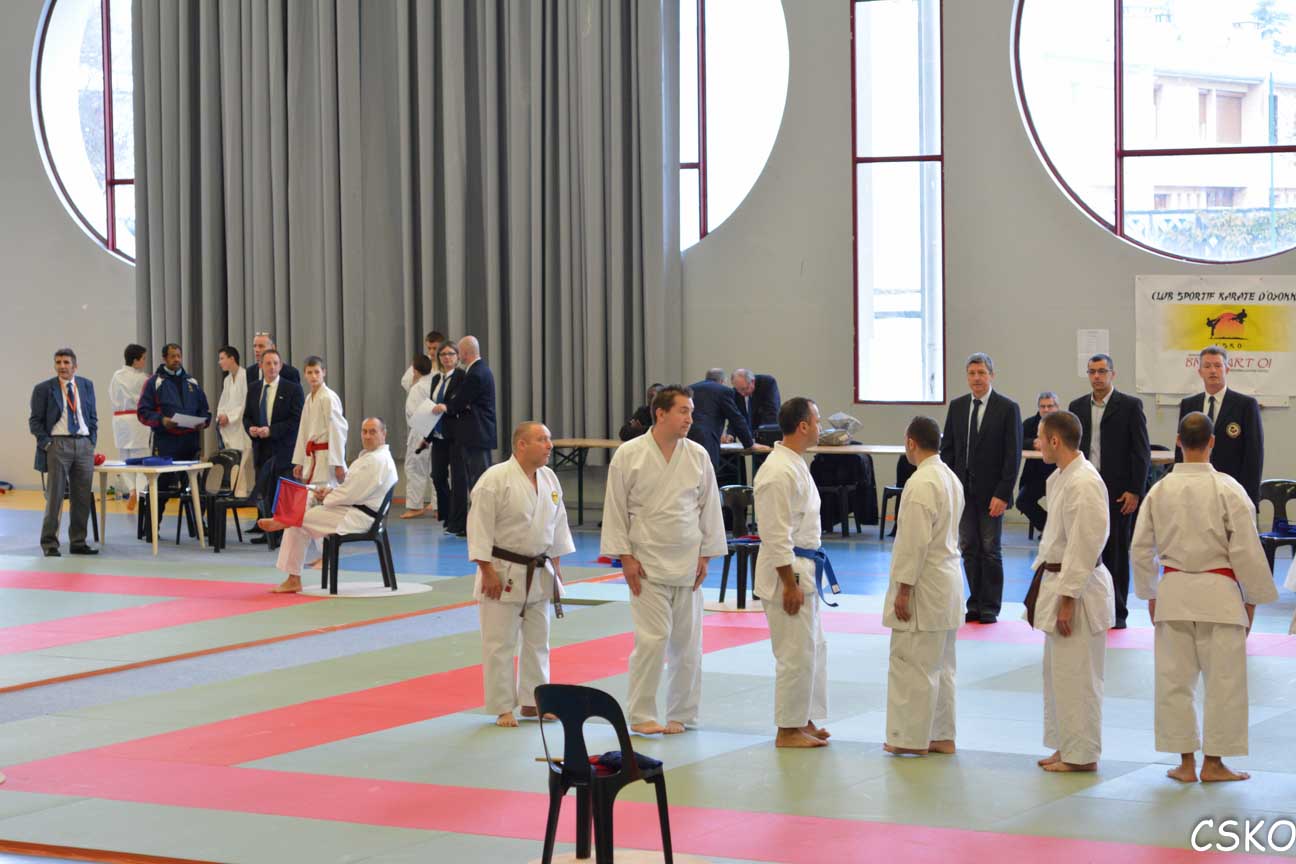 CSKO_Kata_Ain_2013-5.jpg