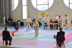 CSKO_Kata_Ain_2013-11.jpg