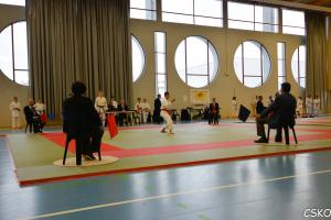 CSKO_Kata_Ain_2013-2.jpg