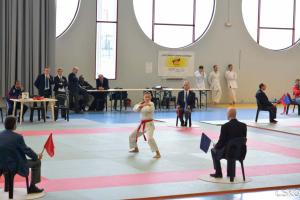 CSKO_Kata_Ain_2013-24.jpg