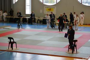 CSKO_Kata_Ain_2013-3.jpg
