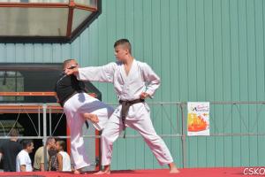 forum_associations_2014-13.jpg