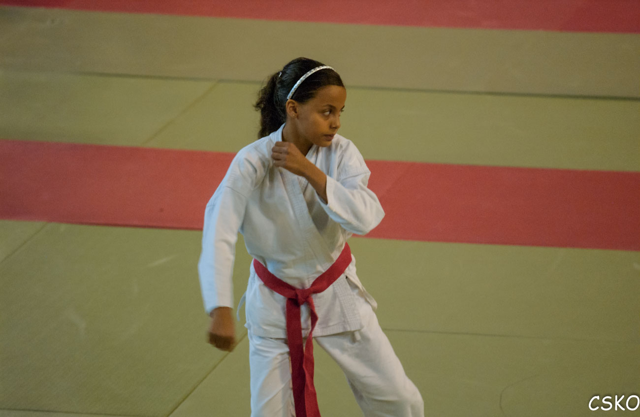 DSC_0171.jpg