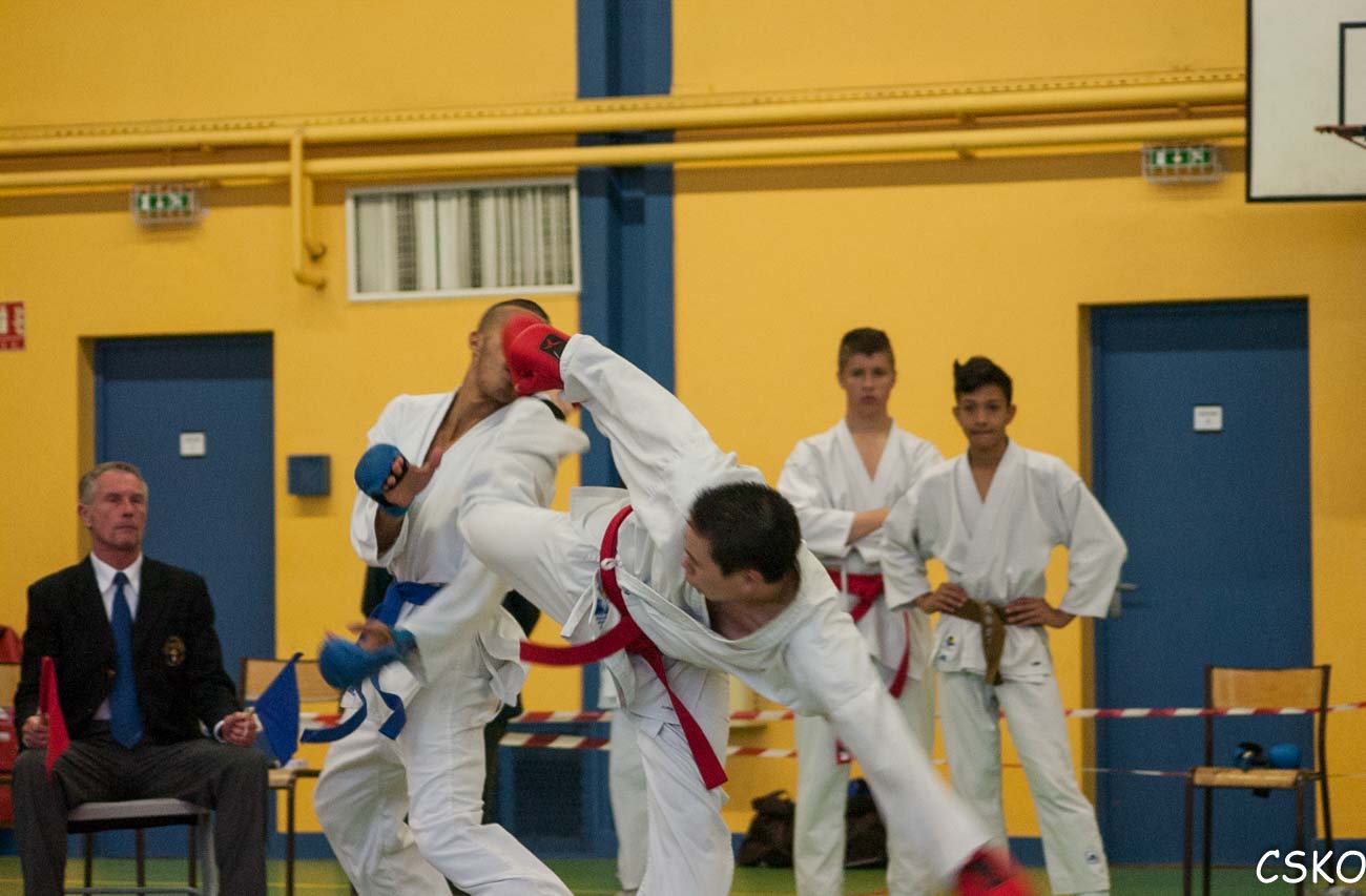 DSC_1667.jpg