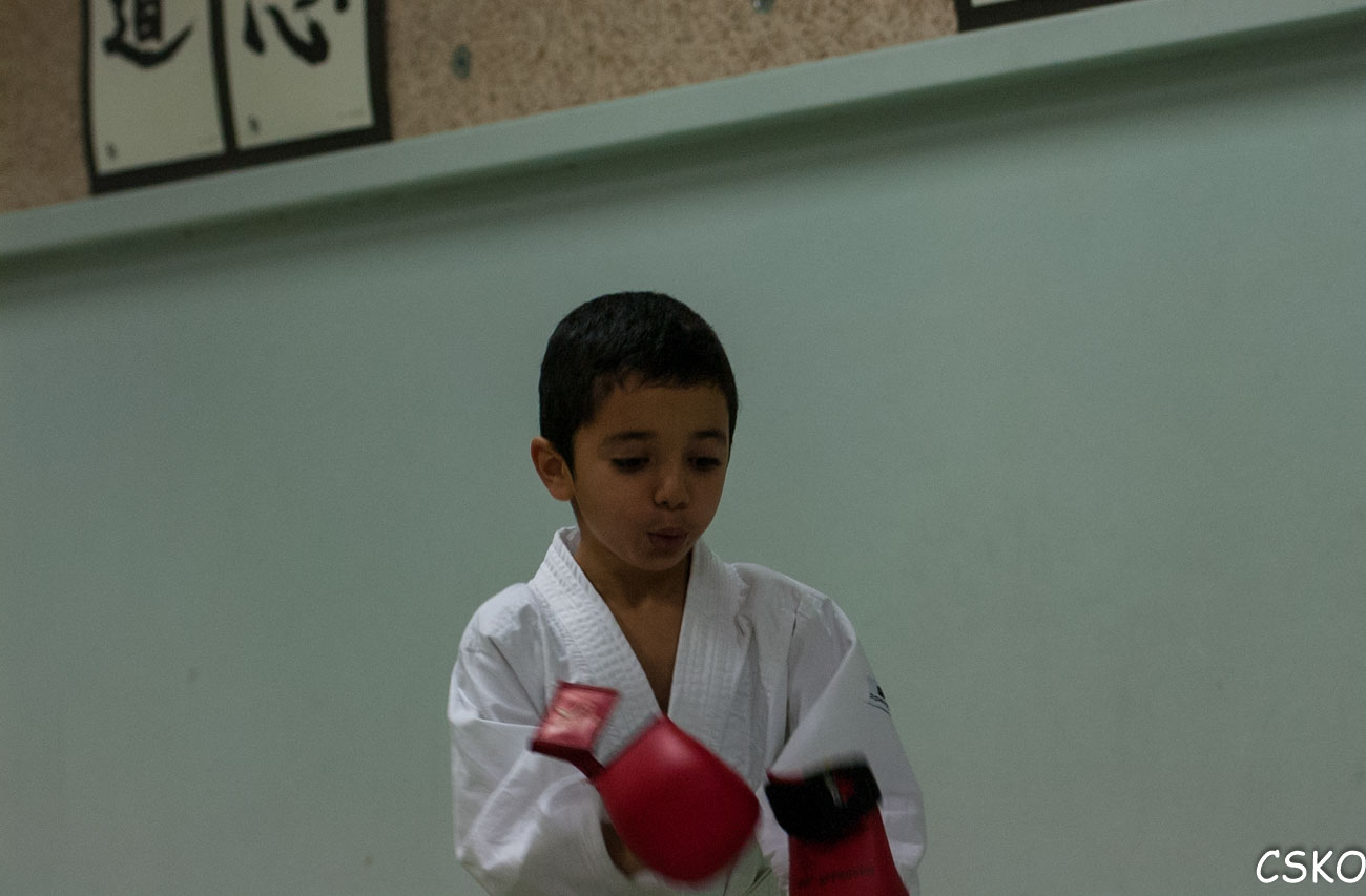 DSC_1784.jpg