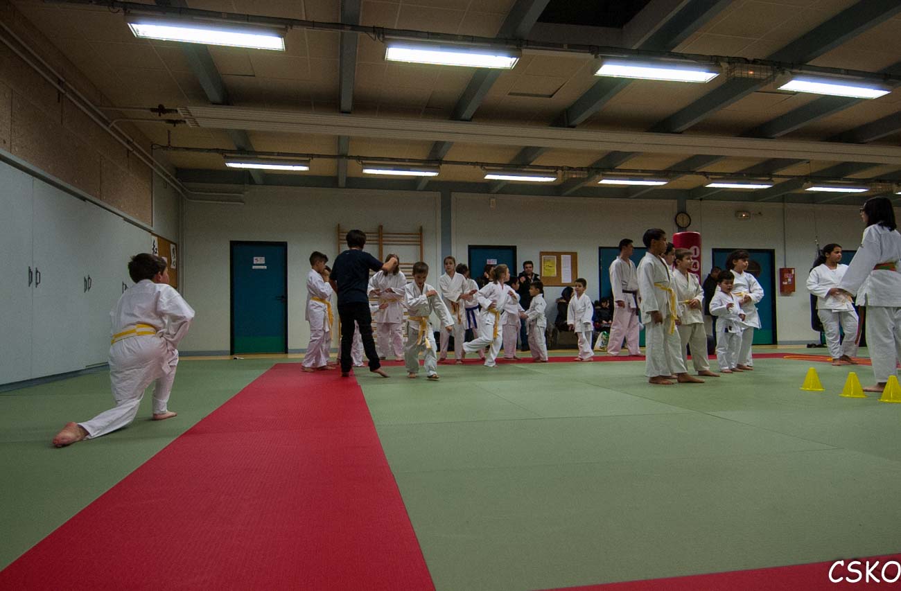 DSC_1862.jpg