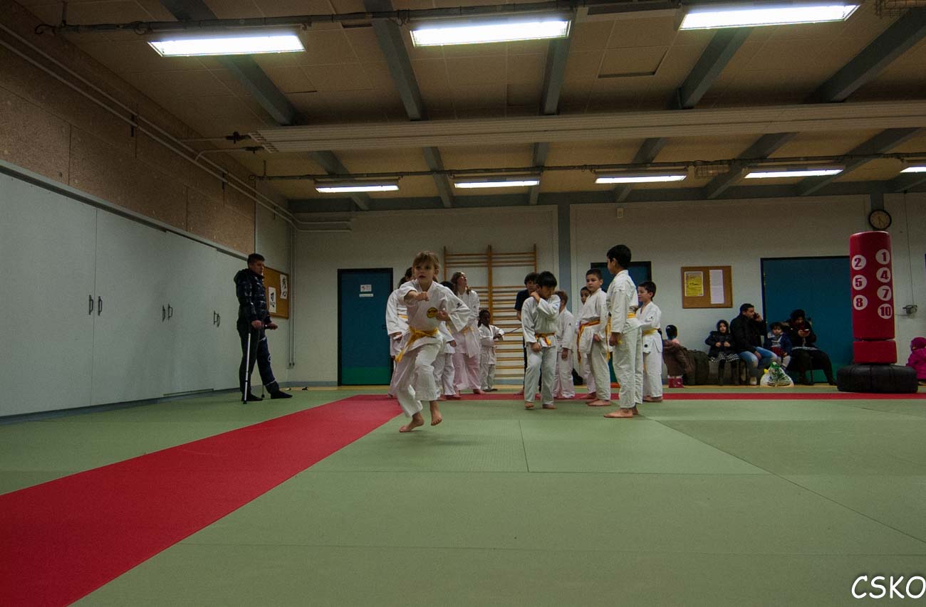 DSC_1917.jpg