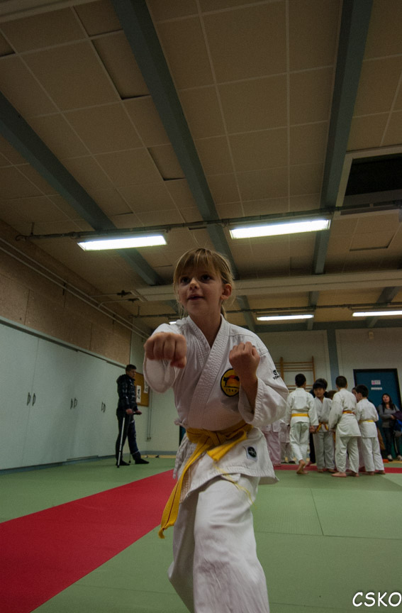 DSC_1918.jpg