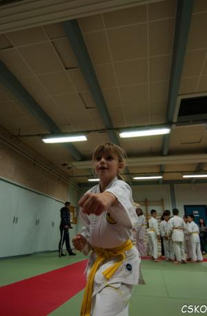 DSC_1919.jpg