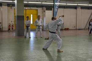 FA15-34.jpg